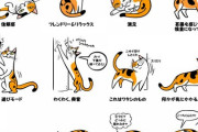 うちの猫女の子なんだけど朝機嫌よく喋ってくれる日とあんまり喋ってくれない日がある【再】