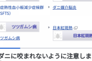 船橋70代男性、草刈り中に「つつが虫」にさされ死亡