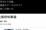 【悲報】開票率0%で陰謀論者が大量発生