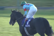 今日、日本競馬史上最強馬のイクイノックスが走るわけやが
