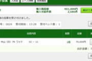 【競馬】2-11でみんな幸せレース