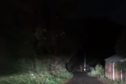 【※不気味すぎる】誰もいないはずの深夜の山道で意味不明な光景を見た。マジで何これ？？？