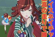 【ウマ娘】これぞまさに誉れ…ネイチャさんをキラッキラにさせたスクショがナイス構図すぎる！！