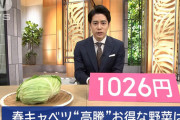 【物価高騰】キャベツ一個1026円ｗｗｗｗｗｗｗｗ