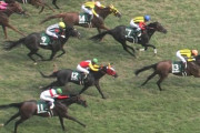 【競馬】５着ダノンリバティ武豊騎手「流れに乗れたが、馬がもたついた」