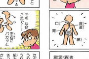 【画像】？？？「人体ってなんでパカって２つに外れないの？」