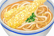 うどんに入れたい揚げ物