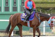 【大阪杯】アフリカンゴールド西園師が逃げ宣言！ジャックドール藤岡師は「無理に逃げなくてもいい」