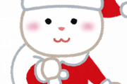【画像】サンタ服を買い間違えた結果ｗｗｗｗｗ