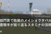 凱旋門賞で敗戦のメイショウタバル 武豊騎手が振り返るスタミナの消耗