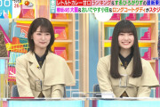【櫻坂46】ラヴィット!にいのりゾノ出演！きっちりバラエティやってるｗｗ