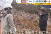 ユーカリ植樹に賛否　町の狙いは『放置される森林を買い取り...早く育つユーカリ植えて建材や燃料に』一方で住民は『全国で杉やヒノキは失敗』『生態系への影響は？』