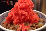 紅しょうがとかいう牛丼と焼きそば食べる時しか見かけない食べ物ｗｗｗ