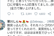 【画像】ツイッター｢え、待って、猫に『どうしたん？』って聞いたら立ち上がって排水溝に落ちた子猫の所に案内した！！！｣