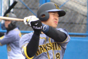 阪神佐藤輝明、ファウル一転先制４号ソロ　リクエスト成功で覆る【動画】
