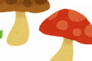 【画像】この食用キノコｗｗｗｗｗｗｗｗｗｗｗｗｗｗｗｗｗｗｗｗｗｗｗｗｗｗｗｗｗｗ