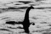 【超悲報】未確認生物「ネッシー」は存在せず　正体はなんと・・・