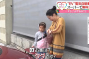 日本のEV対応は出遅れている？