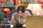 【元乃木坂46】白石麻衣 めちゃふーふーしてるやん.gif