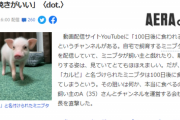 【悲報】100日後に食われるブタ、『丸焼き』にされる可能性が高くなる…