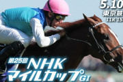 第25回 NHKマイルカップ (GⅠ)