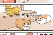 【愛猫】なんだよこの漫画ｗｗｗ【注意】