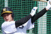 阪神井上「初めが大事」ロケットスタートへ野球漬け