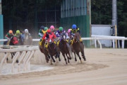 競走馬「はい賞金1億円の大レースで一着」 馬主「よく頑張ったな！人参(30円)あげる！」←これ