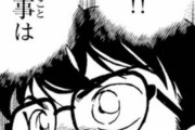【名探偵コナン】作者「蘭大好きなのに灰原ファンが多すぎる…せや！」