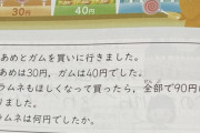 【悲報】発達障害さん、簡単な日本語が理解できず小２の算数の問題が解けないｗｗｗｗ （※画像あり）