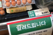 【悲報】卵1個の値段　韓国=60円　日本=20円