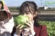 【新澤菜央】しんしんが出演した11/22放送「ぐるっと関西おひるまえ・産地へ行こう！」の画像