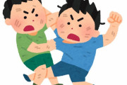 【動画】日本人さんの喧嘩、外人に比べてショボすぎる