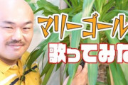 【悲報】クロちゃんがマリーゴールドを歌った動画 高評価778 低評価3961