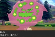 「ミカルゲ」とかいうポケモン史上最強の一番バッターｗｗｗｗｗｗｗ