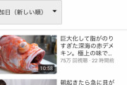 【悲報】きまぐれクックさん、魚を捌くだけで日本一のYouTuberを超えてしまう
