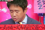 【画像あり】藤田ニコルさん水着姿でとんでもない格好をしてしまう…！