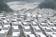 【動画】中国、過剰在庫の「電気自動車」が山の中にもの凄い数が放置されている…