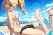 【FGO】海を満喫するモーさん！！　楽しそうですね！