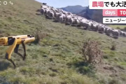 犬型ロボット「スポット」が、今度は牧羊犬に？…農場勤務に任命される！