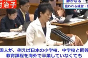 【高度人材】自民党の移民受け入れ政策←小学校すら卒業していなくても認められるガバガバ移民だった