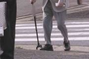 犬ひき逃げの運転手は杖つく91歳男性「全く覚えていない。車は自動ブレーキで最新」 高齢ドライバーの言い訳と女の子の涙