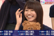 【欅坂46】「けやかけ」ついに“幻のぬいぐるみ回”含む未公開シーンを放送！次回「メンバーが選ぶ！欅って、書けない？傑作選②」