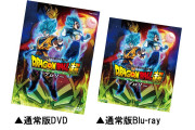 【疑問】「ブルーレイディスク」とかいう15年近くたってもDVDを駆逐出来ない規格ww