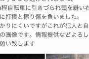 【ニュース】チャリカスさん、女児をひき逃げしそのまま逃走。逮捕へ
