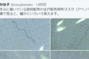 立民・尾辻かな子「私の手元に届いてるアベノマスク、顕微鏡で見ると確かにいろいろ見えます！」