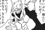 【ドラゴンボール】鳥山明先生｢実はね、ベジータって本当は悟空の事が大好きなんですよｗｗｗ｣
