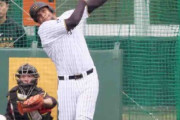 【阪神】ヘルナンデス「すごく光栄」糸井SAの指導受け５本連続柵越え弾、藤川監督も継続希望