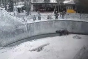 【海外】動物園でクマの囲いの中に娘を投げ込んだ母親、3年後に同じ娘を刺殺