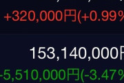 水谷隼氏　デイトレで大損「笑えない額になった　もうおしまい」評価額の画面公開「凄い額」「日経平均最高の日になぜ」